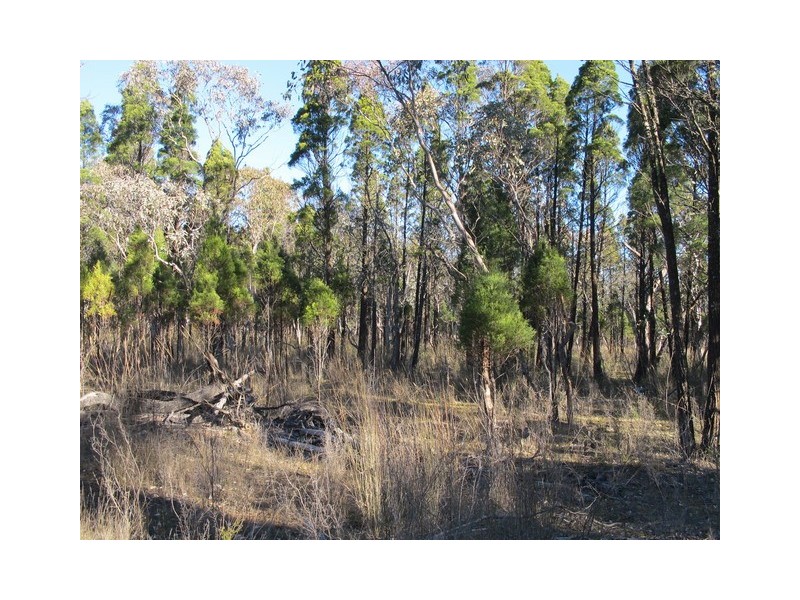 324 Cypress Drive, Mudgee NSW 2850