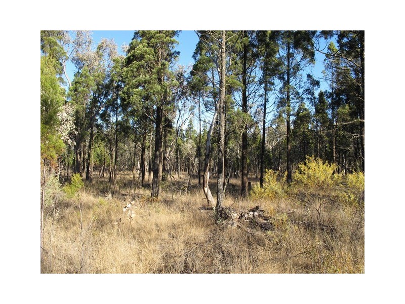 324 Cypress Drive, Mudgee NSW 2850