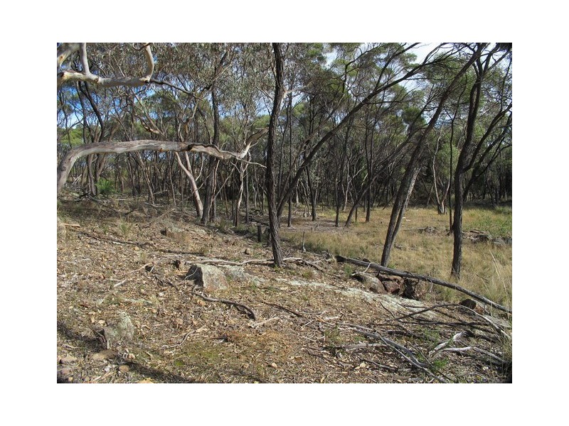 277 Cypress Drive, Mudgee NSW 2850