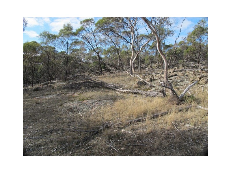 277 Cypress Drive, Mudgee NSW 2850