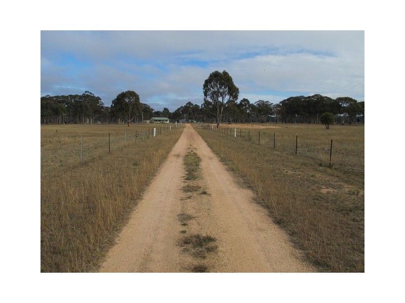 65 Blue Springs Road, Gulgong NSW 2852