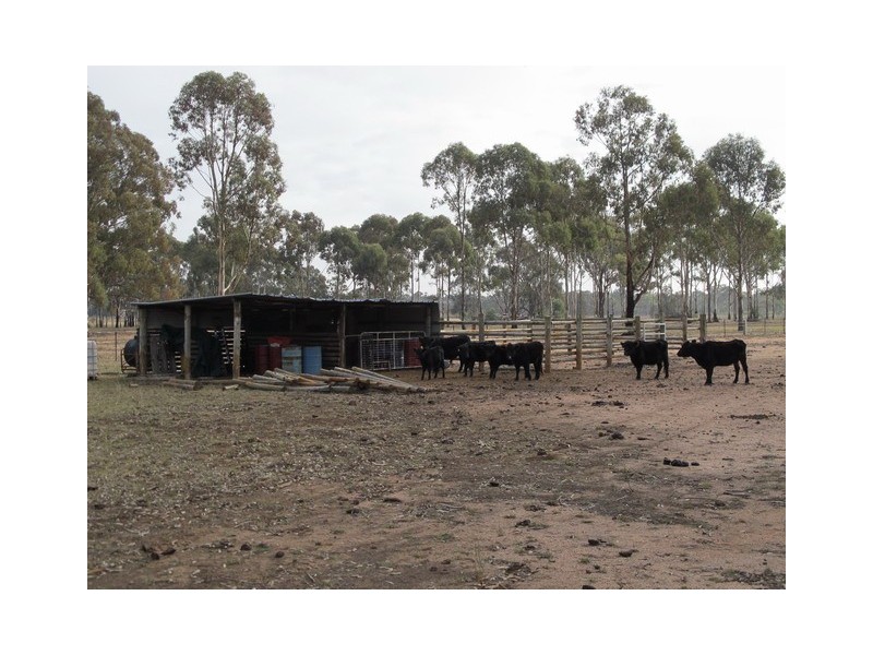 65 Blue Springs Road, Gulgong NSW 2852