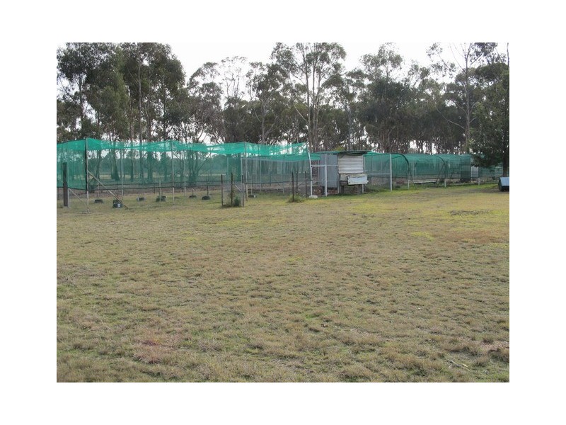 65 Blue Springs Road, Gulgong NSW 2852