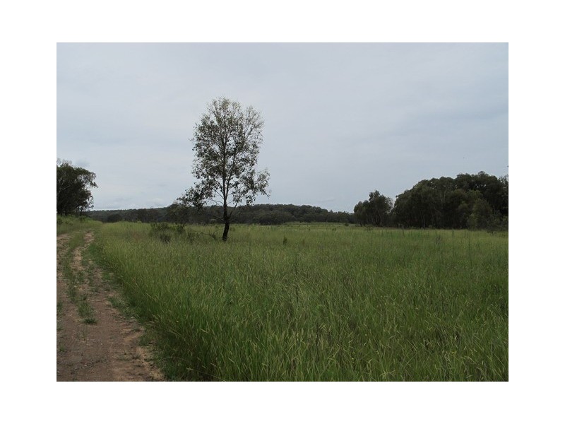 1062 ( Lot 72) Blue Springs Road, Mudgee NSW 2850