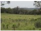 1062 ( Lot 72) Blue Springs Road, Mudgee NSW 2850