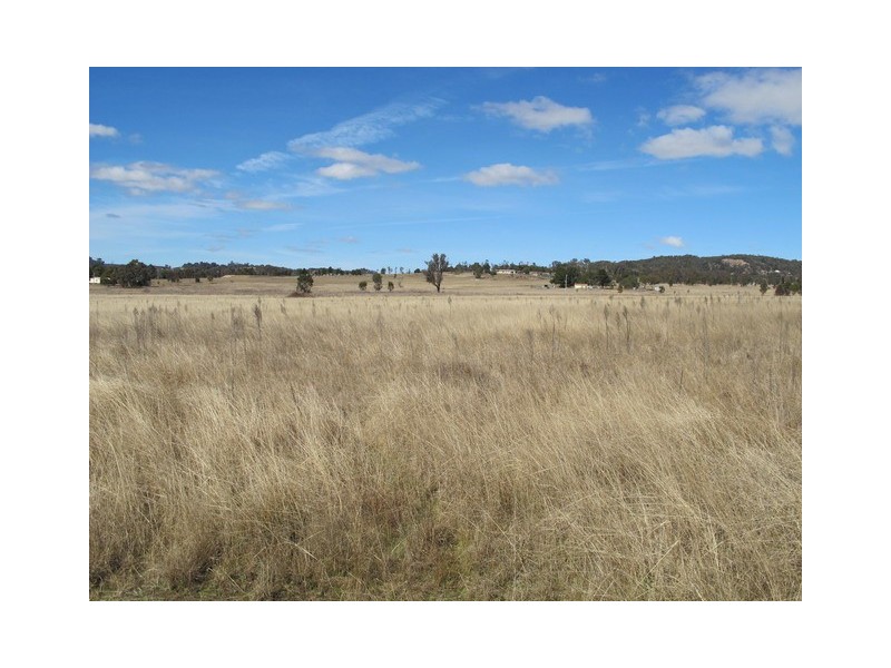 51 Winchester Crescent, Mudgee NSW 2850