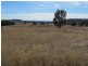 51 Winchester Crescent, Mudgee NSW 2850