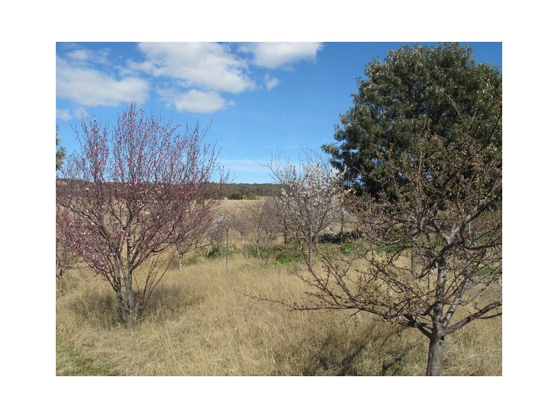51 Winchester Crescent, Mudgee NSW 2850