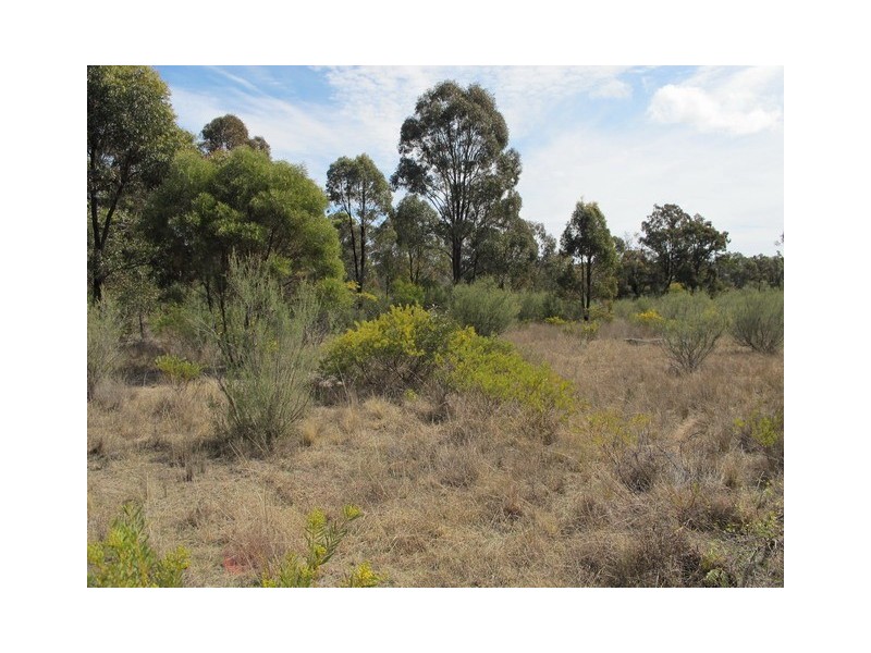 561 Cypress Drive, Mudgee NSW 2850