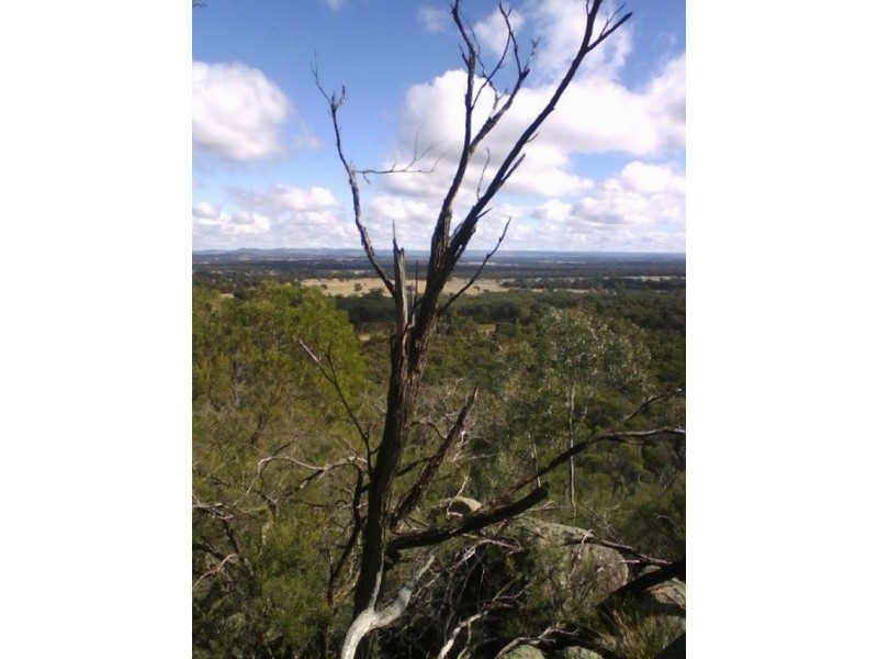 561 Cypress Drive, Mudgee NSW 2850