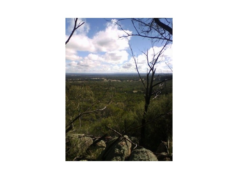 561 Cypress Drive, Mudgee NSW 2850