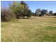 17 Wenonah Street, Gulgong NSW 2852
