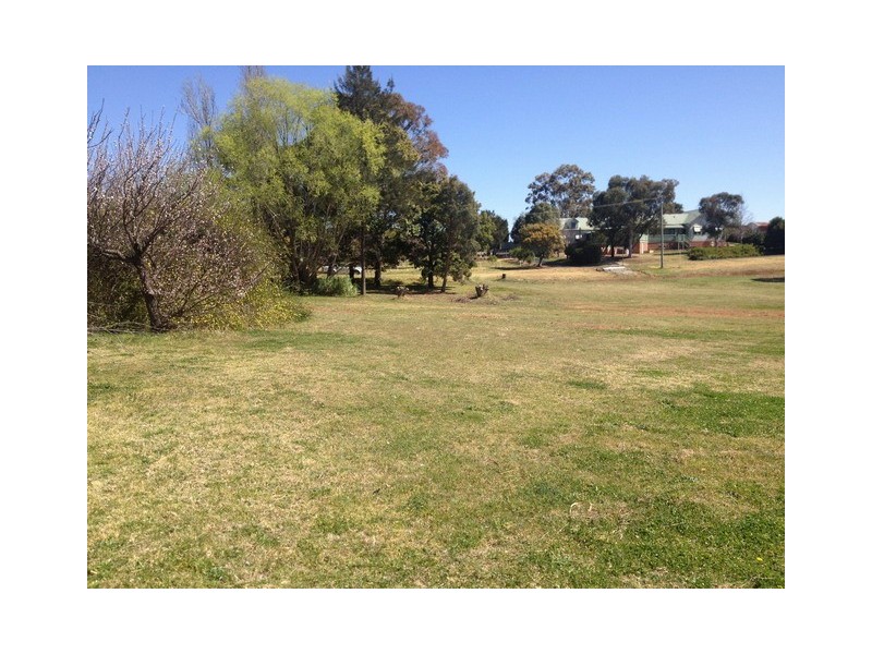 17 Wenonah Street, Gulgong NSW 2852