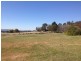 17 Wenonah Street, Gulgong NSW 2852
