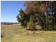 17 Wenonah Street, Gulgong NSW 2852