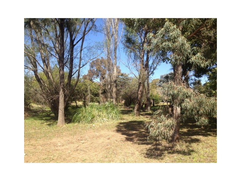 17 Wenonah Street, Gulgong NSW 2852