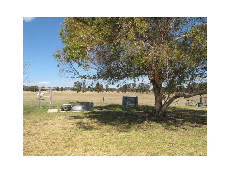 52 Norlenbah Road, Mudgee NSW 2850