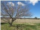 52 Norlenbah Road, Mudgee NSW 2850