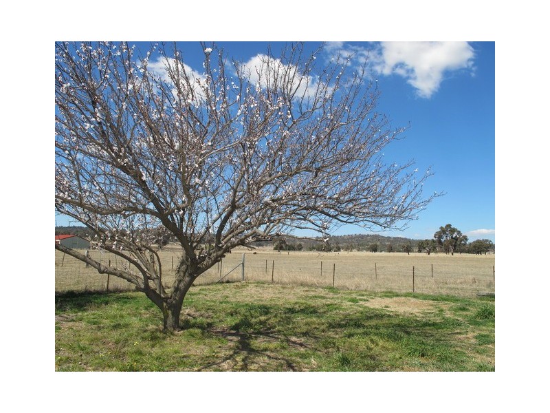 52 Norlenbah Road, Mudgee NSW 2850