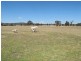 52 Norlenbah Road, Mudgee NSW 2850