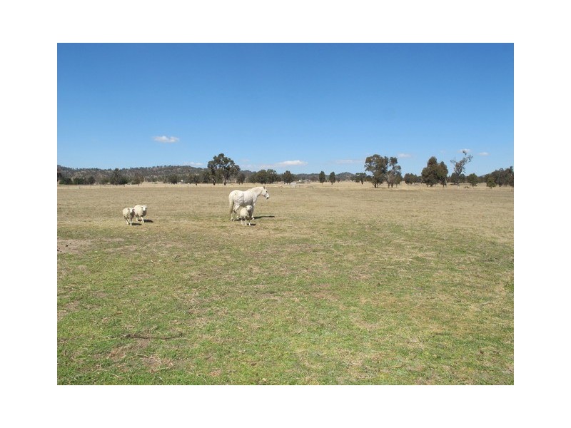 52 Norlenbah Road, Mudgee NSW 2850