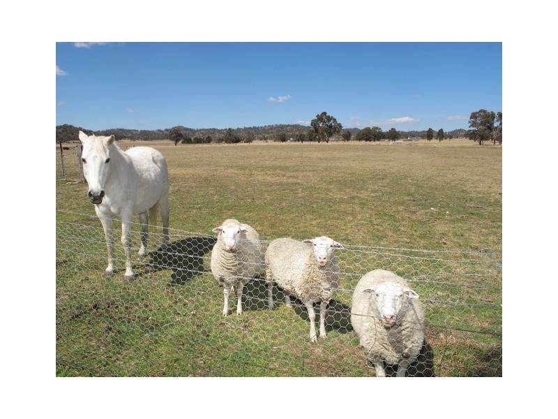 52 Norlenbah Road, Mudgee NSW 2850