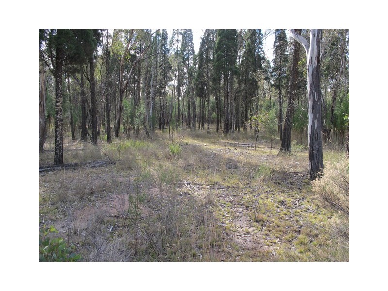 Lot 43 Cypress Drive, Mudgee NSW 2850