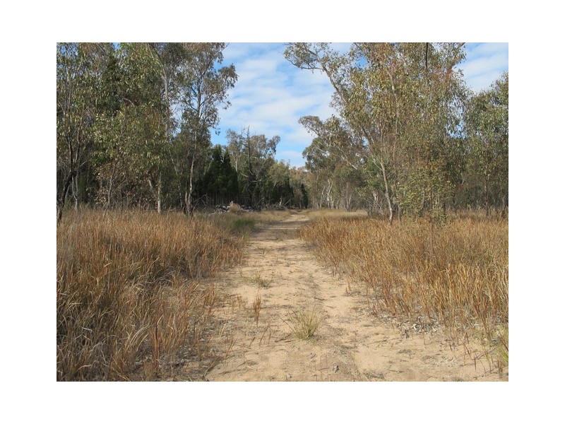 Lot 43 Cypress Drive, Mudgee NSW 2850