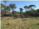 Lot 58 Cypress Drive, Mudgee NSW 2850