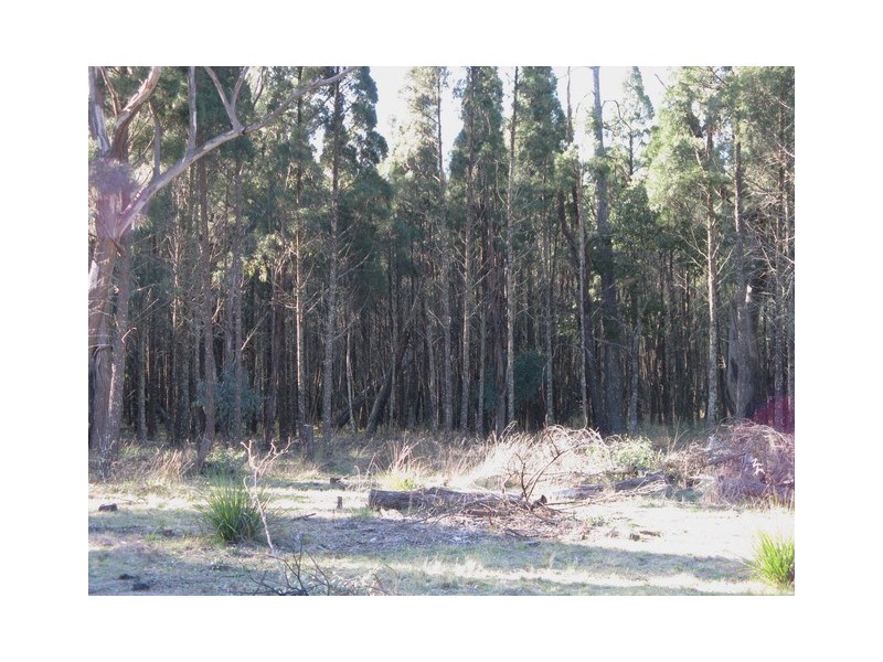 Lot 58 Cypress Drive, Mudgee NSW 2850