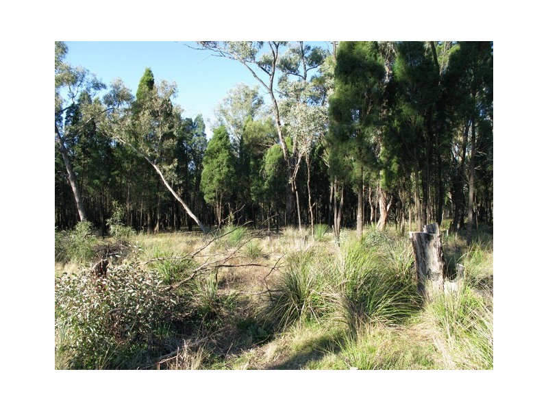 Lot 58 Cypress Drive, Mudgee NSW 2850