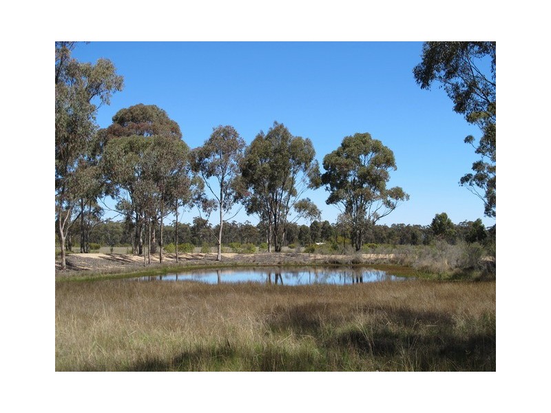224 Stubbo Road, Gulgong NSW 2852