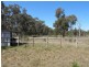 224 Stubbo Road, Gulgong NSW 2852
