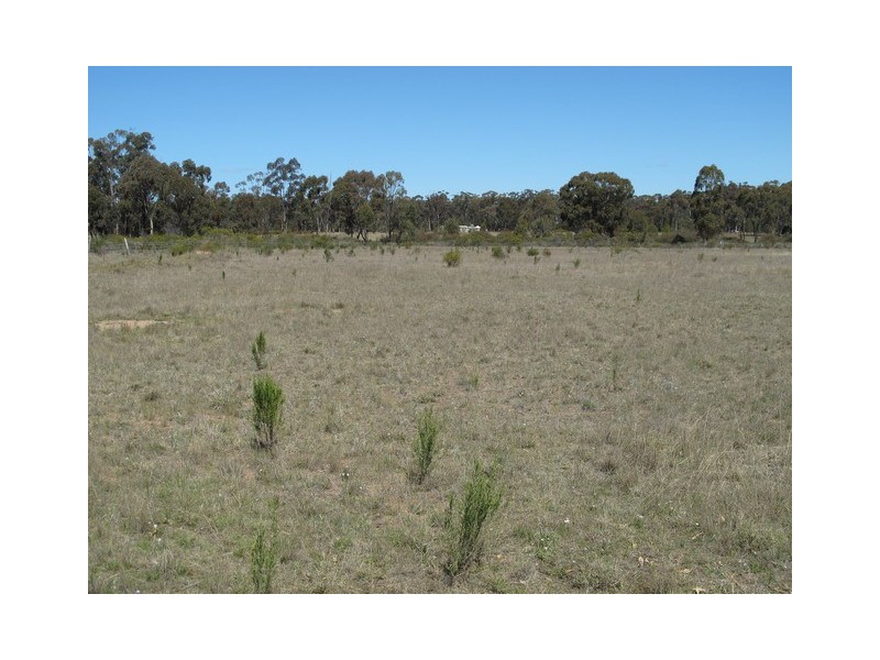 224 Stubbo Road, Gulgong NSW 2852