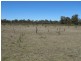 224 Stubbo Road, Gulgong NSW 2852