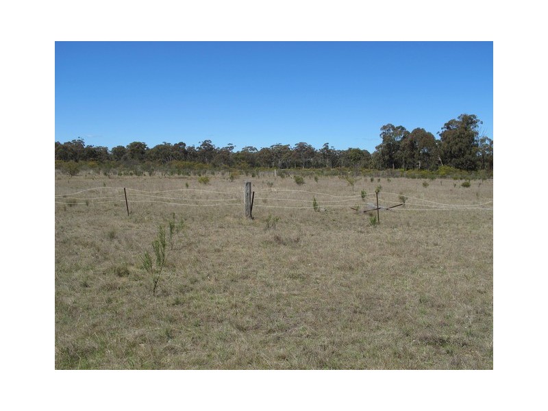 224 Stubbo Road, Gulgong NSW 2852