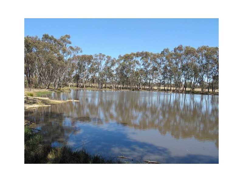 932 Spring Creek Road, Gulgong NSW 2852