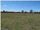 932 Spring Creek Road, Gulgong NSW 2852