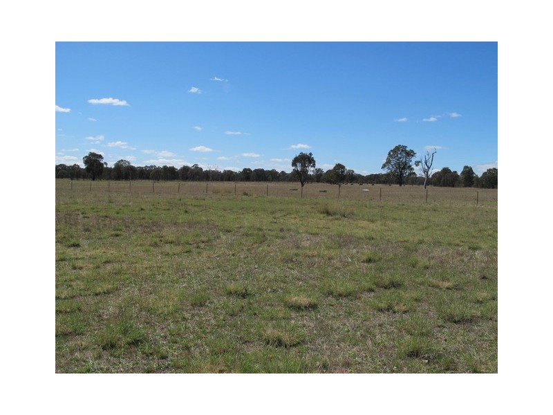932 Spring Creek Road, Gulgong NSW 2852