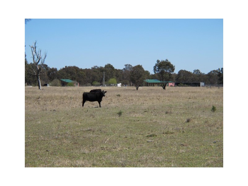 932 Spring Creek Road, Gulgong NSW 2852