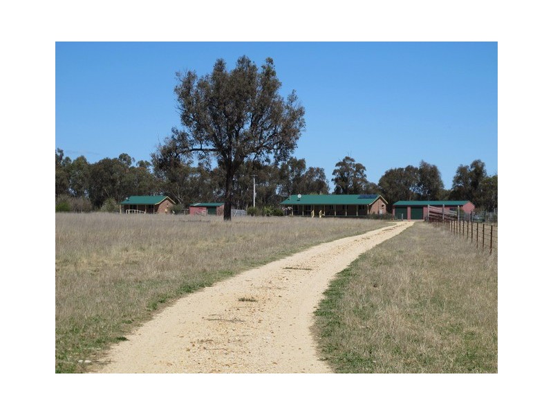 932 Spring Creek Road, Gulgong NSW 2852