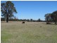 932 Spring Creek Road, Mudgee NSW 2850