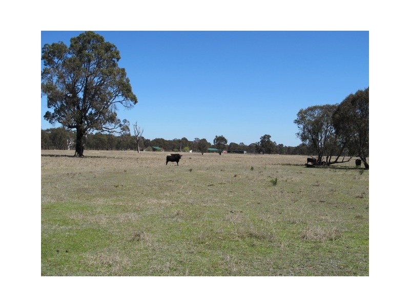 932 Spring Creek Road, Mudgee NSW 2850