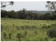 Lot 72 Blue Springs Road, Mudgee NSW 2850