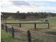 147 Campbells Creek Road, Mudgee NSW 2850