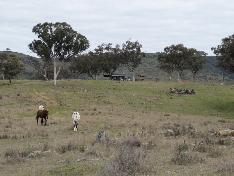 Lot 295 Wingraves Road, Mudgee NSW 2850