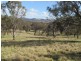 23 and 127 Campbells Creek Road, Mudgee NSW 2850