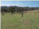 23 and 127 Campbells Creek Road, Mudgee NSW 2850