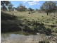 23 and 127 Campbells Creek Road, Mudgee NSW 2850