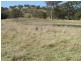23 and 127 Campbells Creek Road, Mudgee NSW 2850